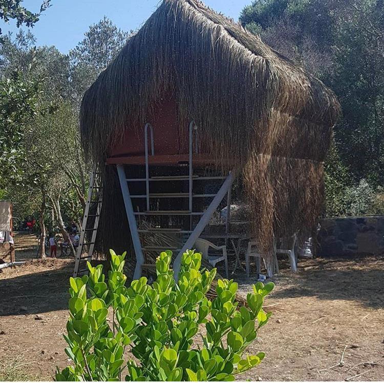 Bodrum Masali Camping Gümüşlük Exterior foto