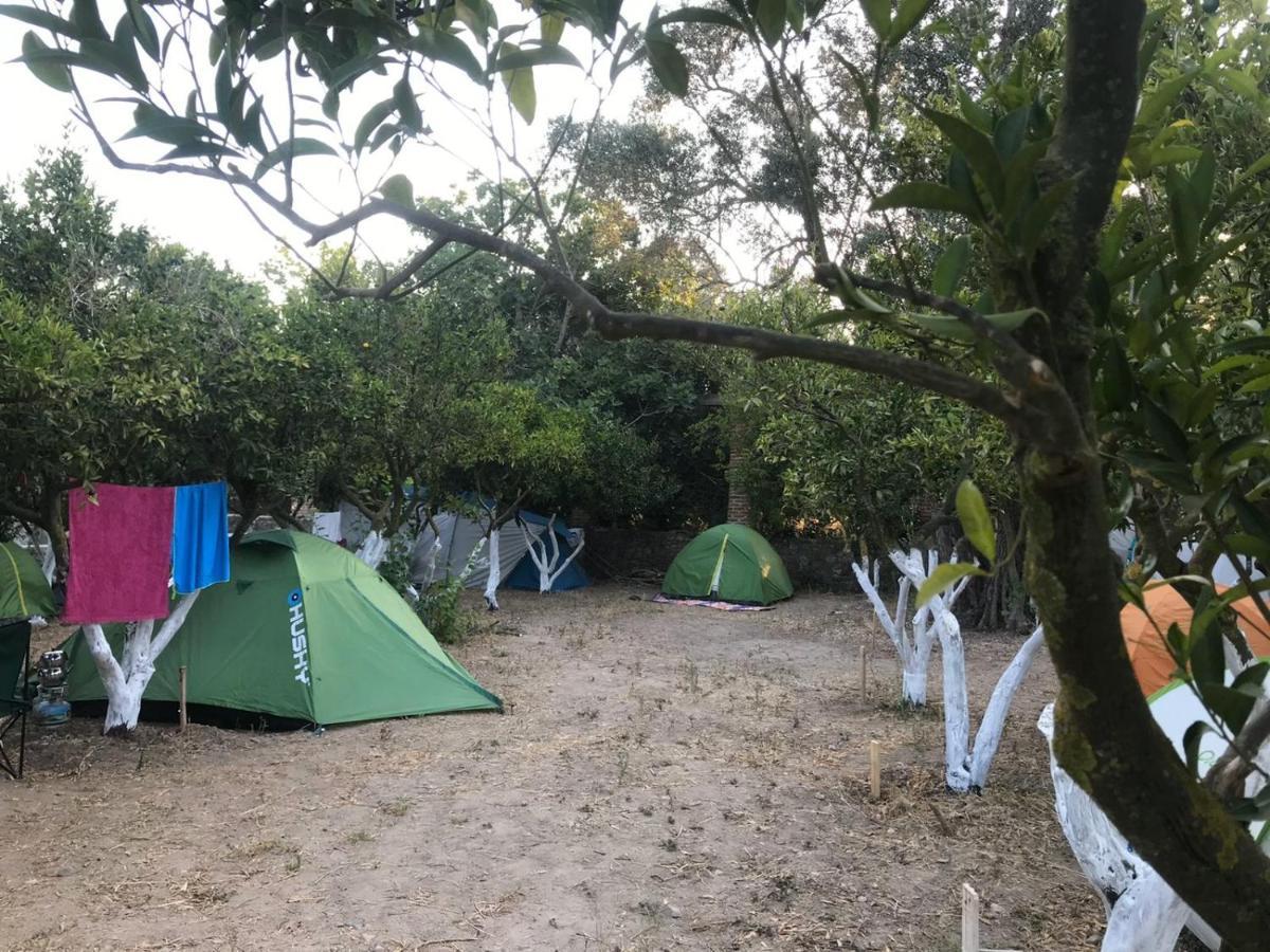 Bodrum Masali Camping Gümüşlük Exterior foto